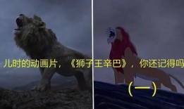 最新爆料的辛巴视频大全,揭秘网红背后的真实生活